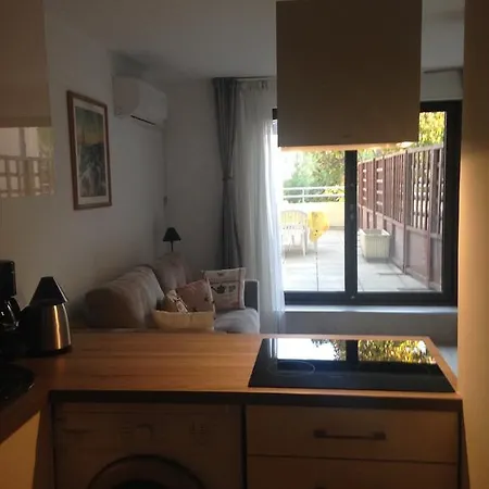 Apartment Floreva Nice